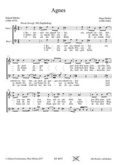 Agnes 