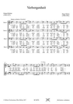 Verborgenheit, Fassung 2 