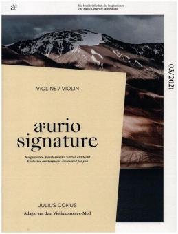 'Adagio' aus dem Violinkonzert e-Moll 