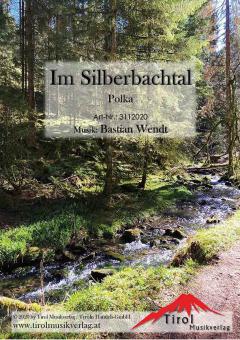 Im Silberbachtal 