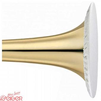 Aerosol Protector für Bariton 