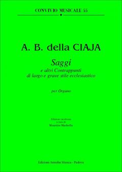 Saggi Ed Altri Contrappunti 