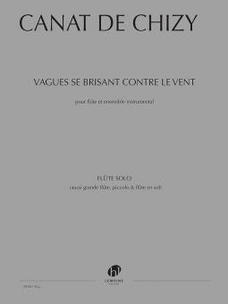 Vagues se brisant contre le vent 