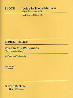 Voice In The Wilderness 