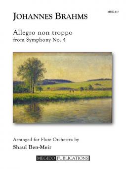 Allegro non troppo from Symphony No. 4 