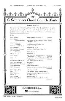 Ave Maria Hail Virgin Mary 