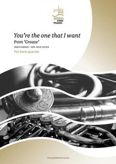 You're the one that I want 