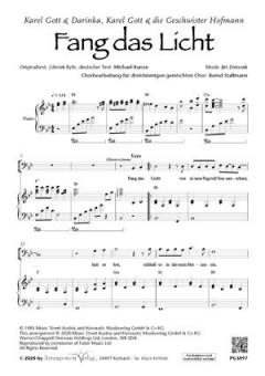 Fang das Licht 