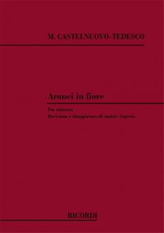 Aranci In Fiore Guitar Solo 