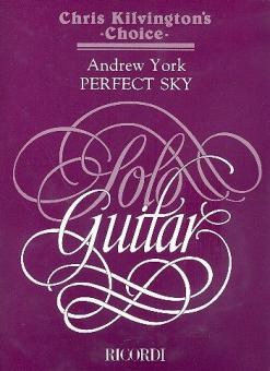 Perfect Sky Guitar Solo 
