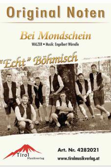 Bei Mondschein 