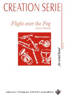 Flight Over the Fog 