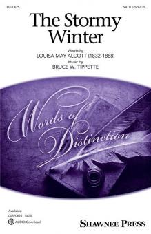 The Stormy Winter 
