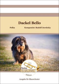 Dackel Bello 