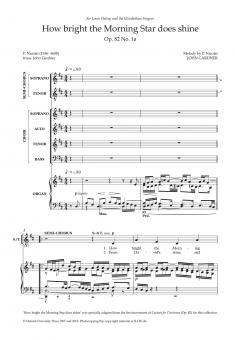 How bright the Morning Star does shine 