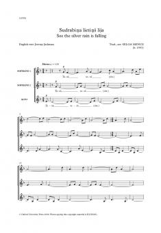 Sudrabina lietins lija 