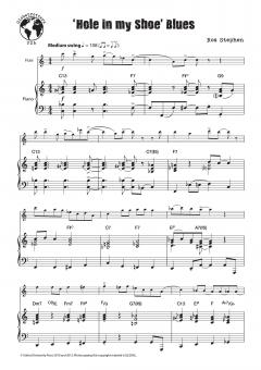 'Hole in my Shoe' Blues 