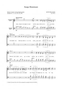 Surge Illuminare 