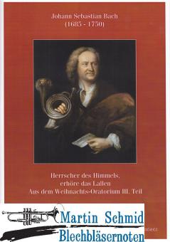 Herrscher des Himmels, erhöre das Lallen 