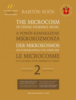 Der Mikrokosmos des Ensemblespiels für Streicher 2 