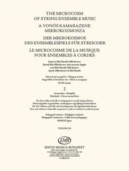 Der Mikrokosmos des Ensemblespiels für Streicher 2 