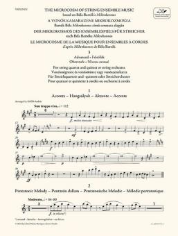 Der Mikrokosmos des Ensemblespiels für Streicher 3 