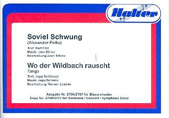 Soviel Schwung 