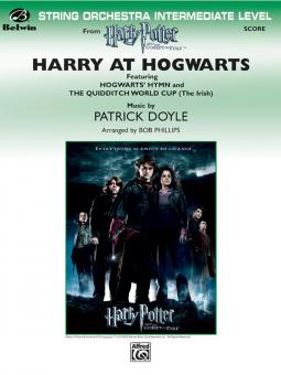 Harry at Hogwarts 