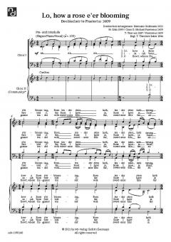 Lo how a rose e'er blooming 