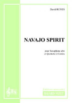 Navajo Spirit 