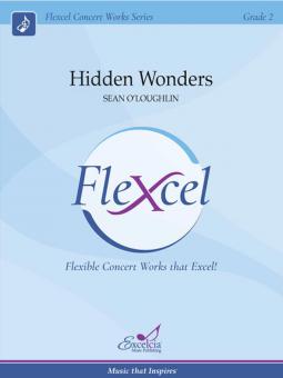 Hidden Wonders 
