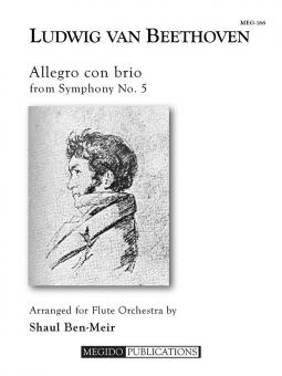 Allegro con brio 
