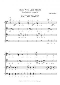 3 New Latin Motets 