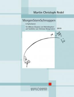 MorgenSternSchnuppen op. 95 Download