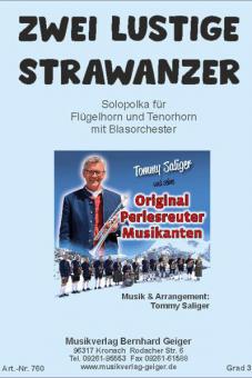 2 lustige Strawanzer 