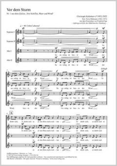 Vor dem Sturm Standard