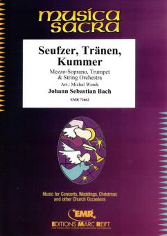 Seufzer, Tränen, Kummer Download