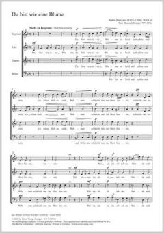 Du bist wie eine Blume WAB 64 Standard