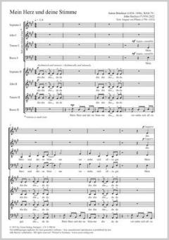 Mein Herz und deine Stimme WAB 79 Standard