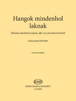 Hangok mindenhol laknak 2 