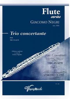 Trio Concertante 