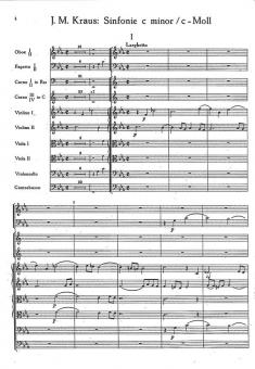 Symphony in C minor 
