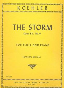 The Storm Op. 82 No. 6 