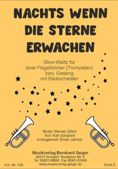 Nachts wenn die Sterne erwachen 