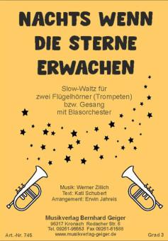 Nachts wenn die Sterne erwachen 