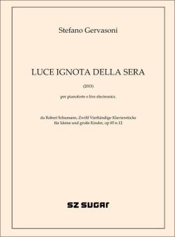 Luce ignota della sera 