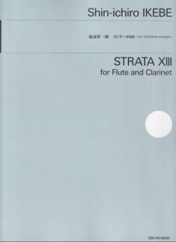 Strata XIII 
