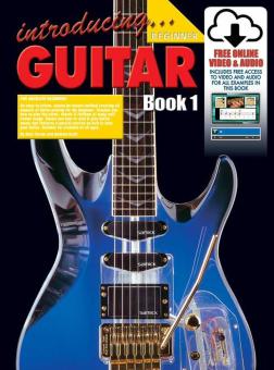 Introducing Guitar 1 