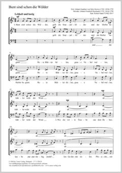 Bunt sind schon die Wälder Download