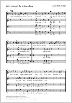 Jetzt kommen die lustigen Tage Download